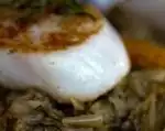 Plats Gastro - Pour une expérience gastronomique